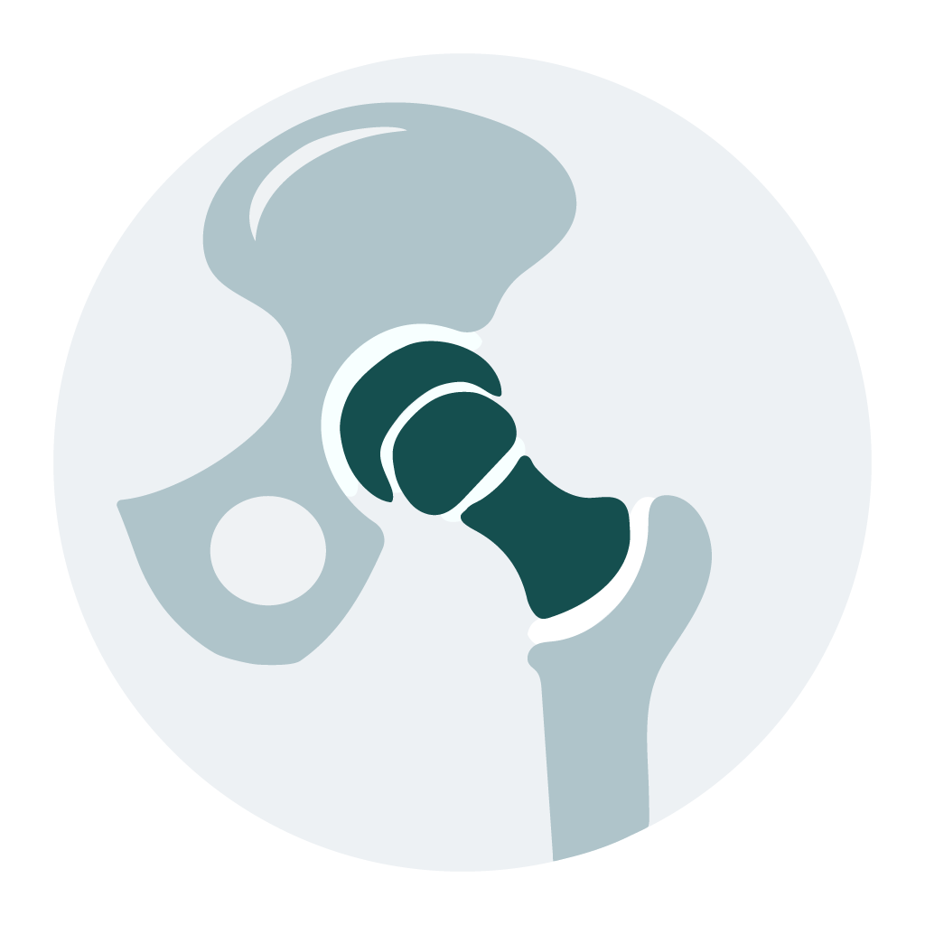 Hip replacement icon