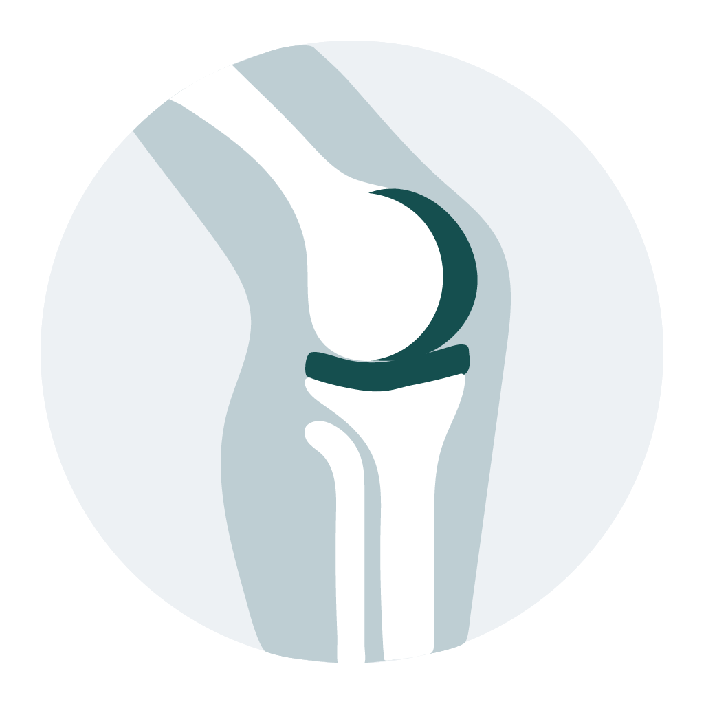 Knee replacement icon